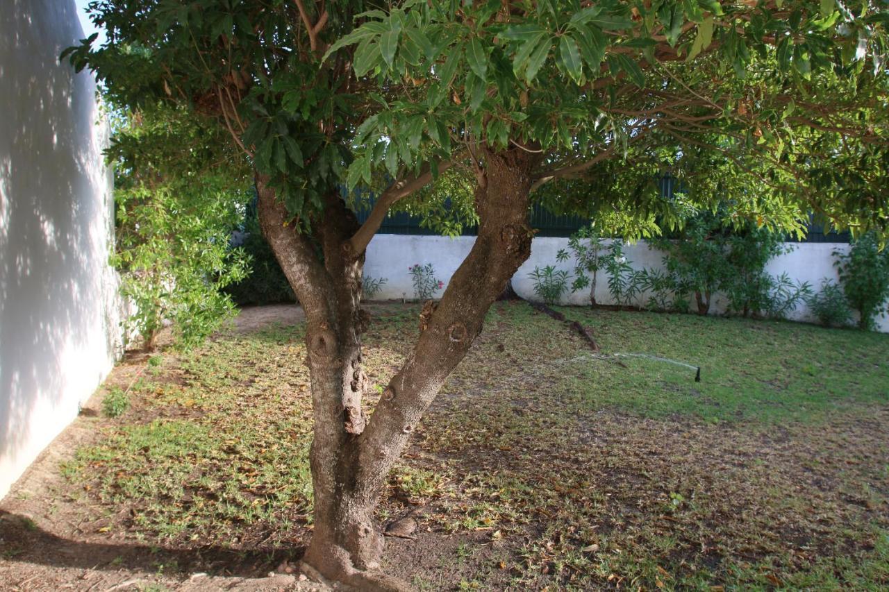Villa Jacaranda - 550M From The Beach - Free Wifi - By Bedzy Albufeira Exterior photo